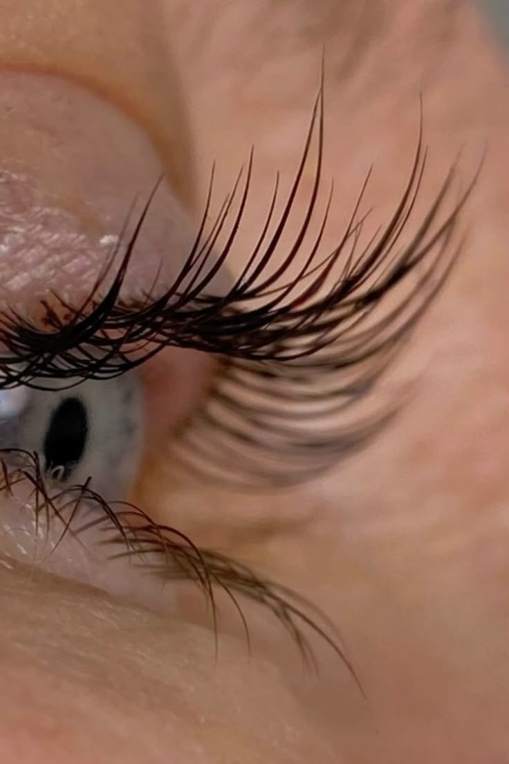 Mishchenko Education